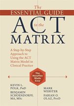 the essential guide to the act matrix: a step by step approach to using the act matrix model in clinical practice