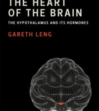 the heart of the brain : the hypothalamus and its hormones