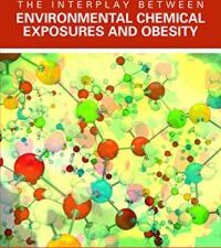 the interplay between environmental chemical exposures and obesity: proceedings of a workshop