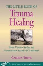 the little book of trauma healing: when violence strikes and community security is threatened, revised & updated edition