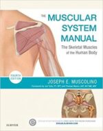 the muscular system manual: the skeletal muscles of the human body 4th edition
