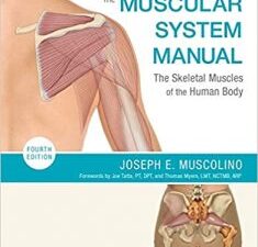 the muscular system manual: the skeletal muscles of the human body 4th edition
