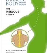 the nervous system (human body: how it works)