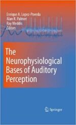 the neurophysiological bases of auditory perception