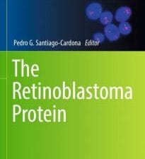 the retinoblastoma protein
