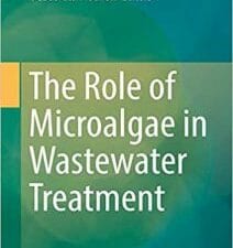 the role of microalgae in wastewater treatment