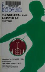 the skeletal and muscular systems