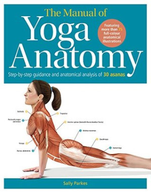 the student’s anatomy of yoga manual: 30 essential poses analysed, explained and illustrated