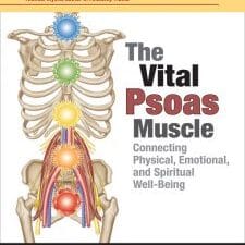 the vital psoas muscle: connecting physical, emotional, and spiritual well being