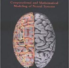 theoretical neuroscience: computational and mathematical modeling of neural systems