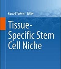 tissue specific stem cell niche