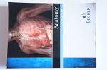 usmle, step 1 review, anatomy