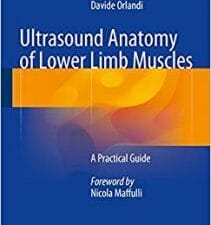 Ultrasound Anatomy of Lower Limb Muscles: A Practical Guide