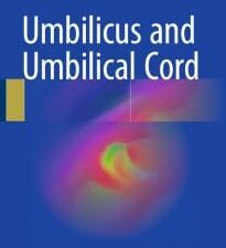 umbilicus and umbilical cord