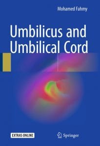 umbilicus and umbilical cord