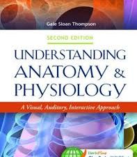 understanding anatomy & physiology 2e: a visual, auditory, interactive approach