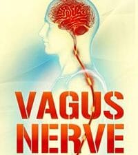 vagus nerve: activate the power of the vagus nerve and heal yourself