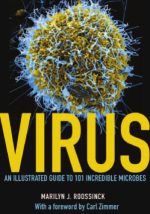 virus : an illustrated guide to 101 incredible microbes