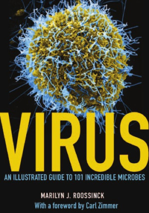 virus : an illustrated guide to 101 incredible microbes