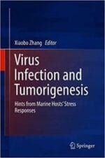virus infection and tumorigenesis: hints from marine hosts’ stress responses