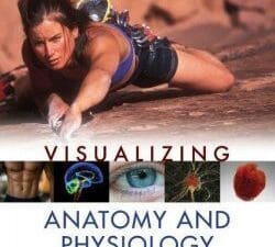 Visualizing Anatomy and Physiology
