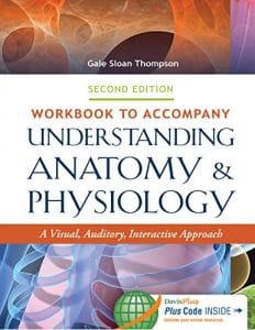 Workbook to Accompany Understanding Anatomy & Physiology: A Visual, Auditory, Interactive Approach, 2nd edition