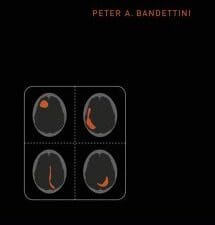 fmri (the mit press essential knowledge)