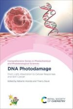 dna photodamage: from light absorption to cellular responses and skin cancer (comprehensive series in photochemical & photobiological sciences) 1st edition
