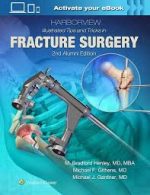 harborview illustrated tips and tricks in fracture surgery 2nd edition
