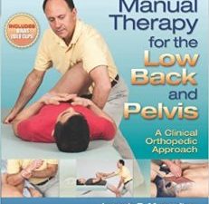 manual therapy for the low back and pelvis: a clinical orthopedic approach (lww in touch series) pap/psc edition