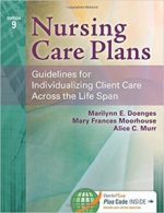 nursing care plans: guidelines for individualizing client care across the life span
