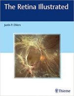 the retina illustrated
