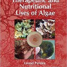 therapeutic and nutritional uses of algae