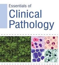 essentials of clinical pathology 2nd edition
