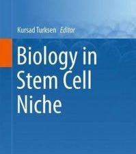 biology in stem cell niche