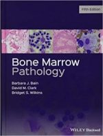 bone marrow pathology 5th edition