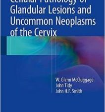 cellular pathology of glandular lesions and uncommon neoplasms of the cervix