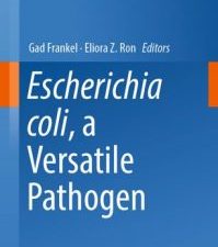 escherichia coli, a versatile pathogen