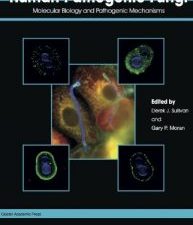 human pathogenic fungi: molecular biology and pathogenic mechanisms