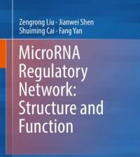 microrna regulatory network: structure and function