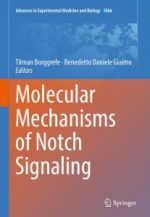 molecular mechanisms of notch signaling