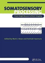 somatosensory processing: from single neuron to brain imaging