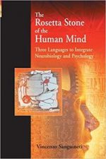 the rosetta stone of the human mind: three languages to integrate neurobiology and psychology