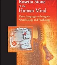 the rosetta stone of the human mind: three languages to integrate neurobiology and psychology