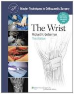 the wrist (master techniques in orthopaedic surgery)