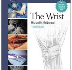 the wrist (master techniques in orthopaedic surgery)
