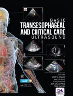 basic transesophageal and critical care ultrasound