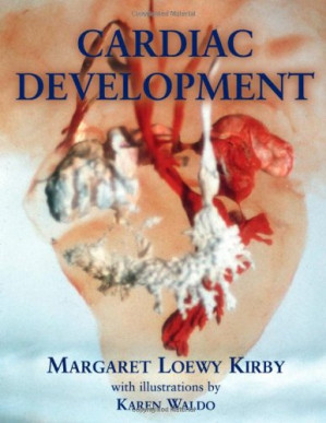 cardiac development