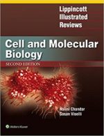 cell and molecular biology 2nd edition