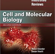 cell and molecular biology 2nd edition